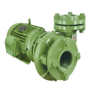 Bomba Centrífuga Schneider Bc-21 F2 4 Cv Monofásica 220v/440v com Capacitor