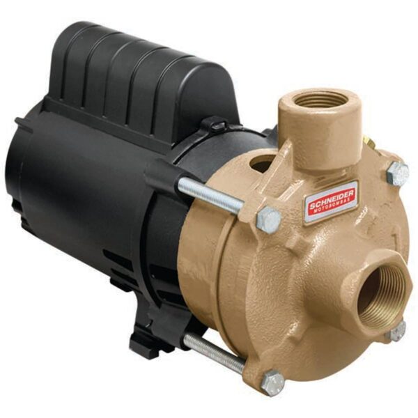 Bomba Monoestágio Schneider Bc-91t Br Vt Eixo de Inox 1/2 Cv Monofásica 220v com Capacitor
